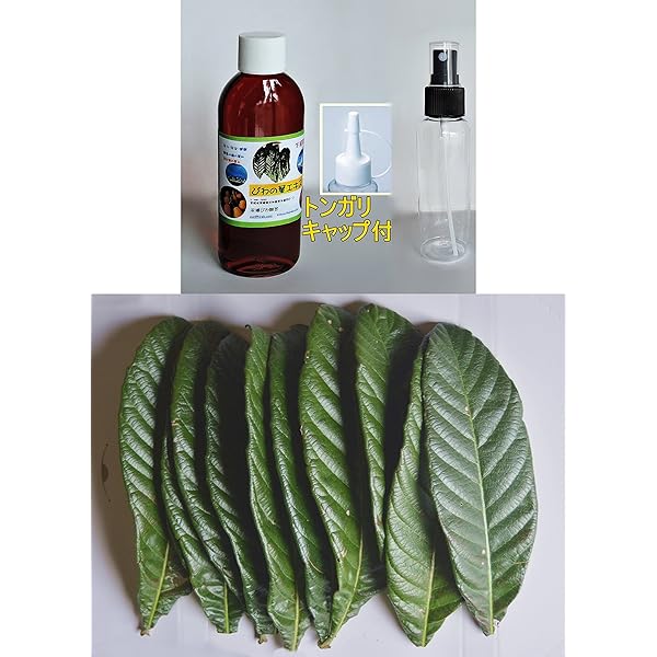 Amazon.co.jp: 三栄商会ビワ葉温灸療法 細棒もぐさ温灸セット