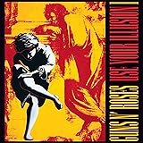 Use Your Illusion