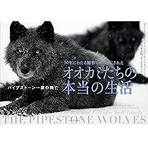 30年にわたる観察で明らかにされたオオカミたちの本当の生活