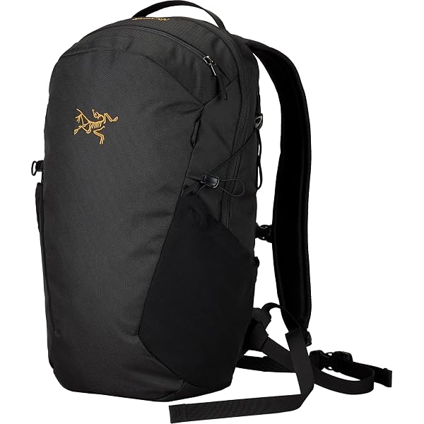 Amazon | [アークテリクス] ARCTERYX マンティス2ウエストパック