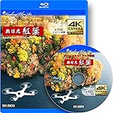 ドローン × 4Kカメラ動画・映像【Healing Blue Airヒーリングブルー・エア】奥日光 紅葉〈動画約50分, approx50min.〉感動のドローン × 4Kカメラ [Blu-ray]