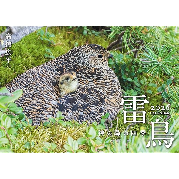 ライチョウ、翔んだ。 | 近藤 幸夫 |本 | 通販 | Amazon