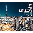 IN YA MELLOW TONE 13