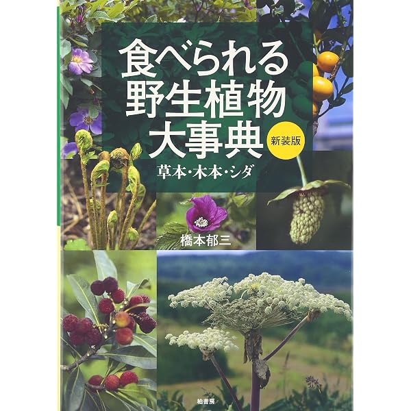 野生植物食用図鑑―南九州-琉球の草木 | 橋本 郁三 |本 | 通販 | Amazon