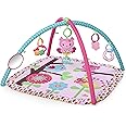 パパジーノ ブライトスターツ チャーミングチャープス・アクティビティジム 52170