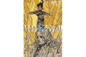 マルドゥック・アノニマス　11の表紙