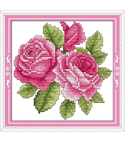 Amazon | OWN4B クロスステッチ刺繍キット図案印刷、11ct バラ 初心者