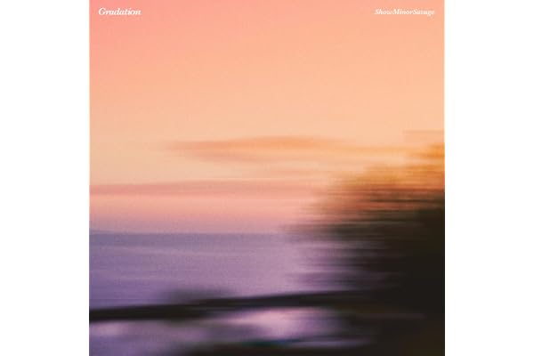 Gradation