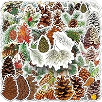 松ぼっくりのパステル画 91U6O3BBfkL._AC_UL210_SR210,
