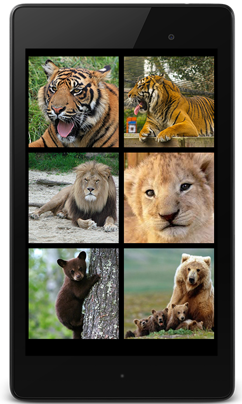 Amazon Co Jp 猛獣の鳴き声 トラ ライオン クマ