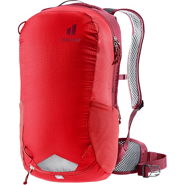 Amazon.co.jp: [ドイター] バックパック レース 16 チェスナッツ