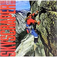 Skyscraper [12 inch Analog]