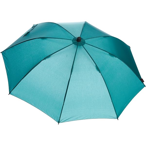 Amazon | [EuroSCHIRM(ユーロシルム)]長傘 Swing liteflex アンブレラ