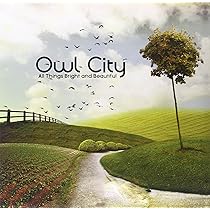 Owl City / Ocean Eyes LPレコード Ocean Eyes : Owl City | HMV&BOOKS online - B001314102