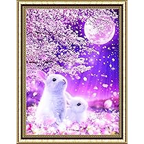 Amazon | AN-diaart ダイヤモンドアート キット A3 スクエア