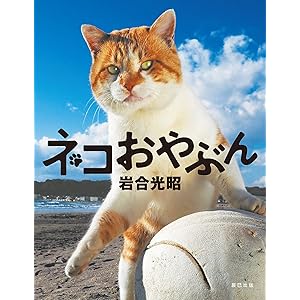 岩合光昭 写真集 「ネコおやぶん」の表紙