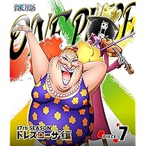 アニキャラ ワンピース vol.17 ドレスローザ編 コラソン シークレット アニキャラ ワンピース vol.17 ドレスローザ編 コラソン