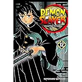 Demon Slayer: Kimetsu no Yaiba, Vol. 12: The Upper Ranks Gather (English Edition)
