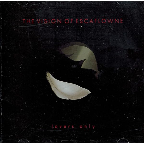 Amazon.co.jp: 天空のエスカフローネ THE VISION OF ESCAFLOWNE