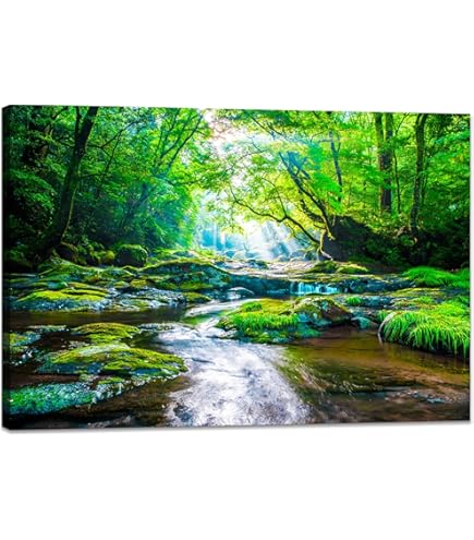 Amazon.co.jp: 美しい山と川 (N012) 自然の風景 景観 家の装飾ポスター