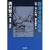 藤澤清造短篇集 一夜/刈入れ時/母を殺す 他 (角川文庫)