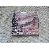 サポーズド・フォーマー・インファチュエイション・ジャンキー