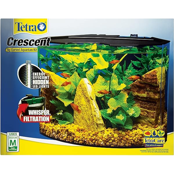 5g fish tank