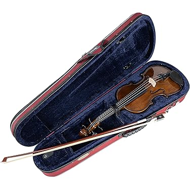Amazon.co.jp ほしい物ランキング: バイオリン で、ほしい物リストと