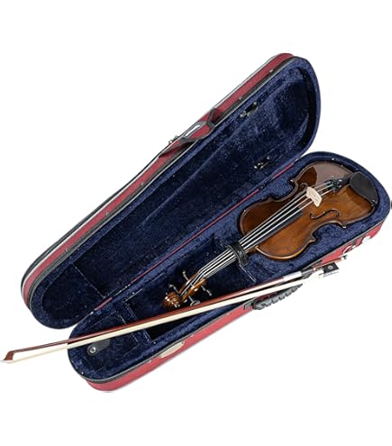 Amazon | EASTMAN VL80ｾｯﾄ 4/4 バイオリンセット (イーストマン