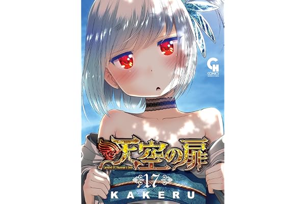 天空の扉 17 (コミックヘヴン)