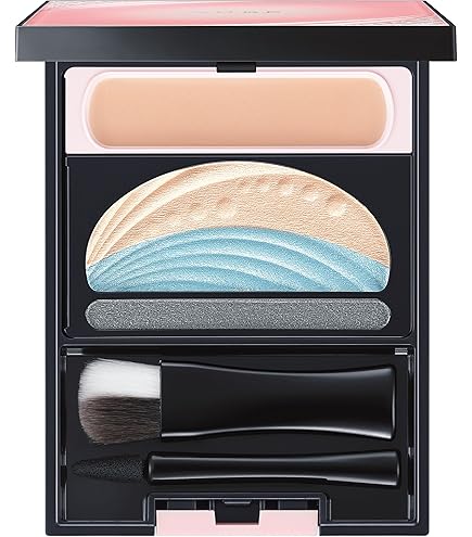 Amazon.co.jp: ソフィーナ オーブ ブラシひと塗りシャドウN 14ブラウン