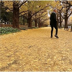 Amazon.co.jp: 或る秋の日(受注生産限定盤): ミュージック