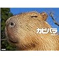 カピバラ