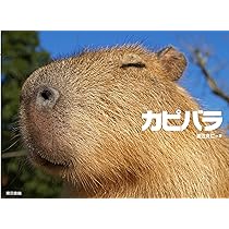 Amazon.co.jp: かぴばら (IWAGO'S BOOK 5) : 岩合 光昭