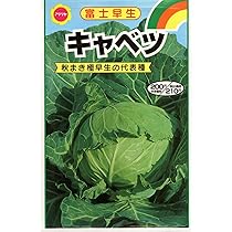 Amazon | アタリヤ農園 ガーデニング用品 種 富士早生 キャベツ