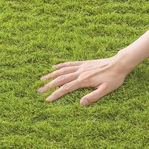 Amazon.co.jp: タカショー リアル 人工芝 2m×10m グリーン 芝丈30mm