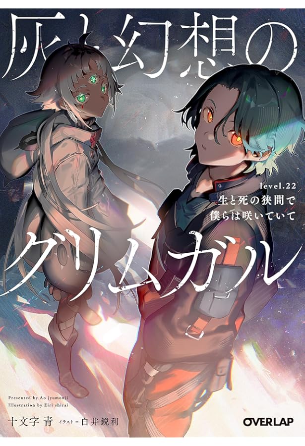 Amazon.co.jp: 灰と幻想のグリムガル level.20 かくて星は落ち時が流れ