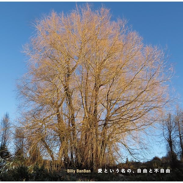 愛は祈りのようだね~Northern Lights~ [CD] 61LNaeutbTL._SY200_QL15_.jpg