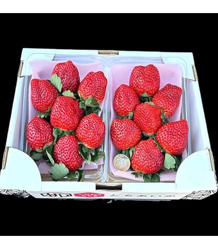 Amazon.co.jp: JA佐野 いちご とちあいか 苺 2パック入り 栃木県産