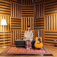 Amazon.co.jp: 北へ向かう[完全限定生産] - 寺尾紗穂 [Analog