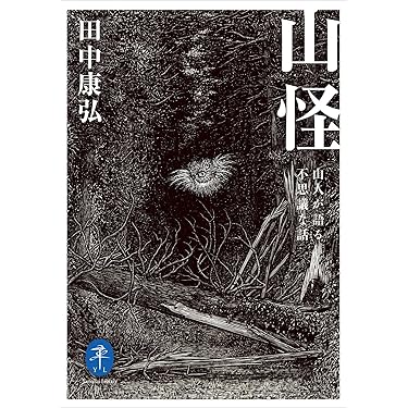 Amazon.co.jp 売れ筋ランキング: 登山・ハイキング の中で最も