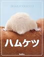 ハムケツ