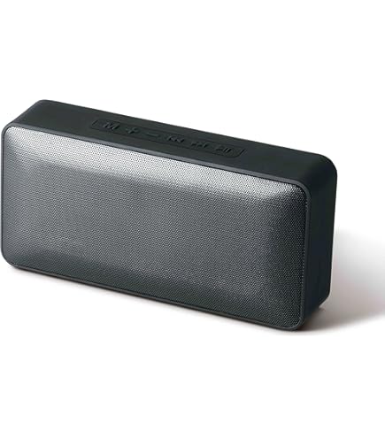 Amazon.co.jp: LITHON RAYSON Audinsound SP-04 KABS-015B