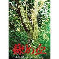 Amazon.co.jp: I'M FLASH! [Blu-ray] : 藤原竜也, 松田龍平, 水原希子
