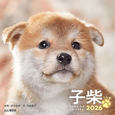 Amazon.co.jp 最新リリース: 写真家の本 の新着ランキングです。