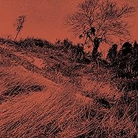 鬼レア・サンプル盤！プカプカ / ザ・ディランII / 西岡恭蔵 西岡恭蔵-07／1973年 | すりいこおど-1970年代周辺の日本の