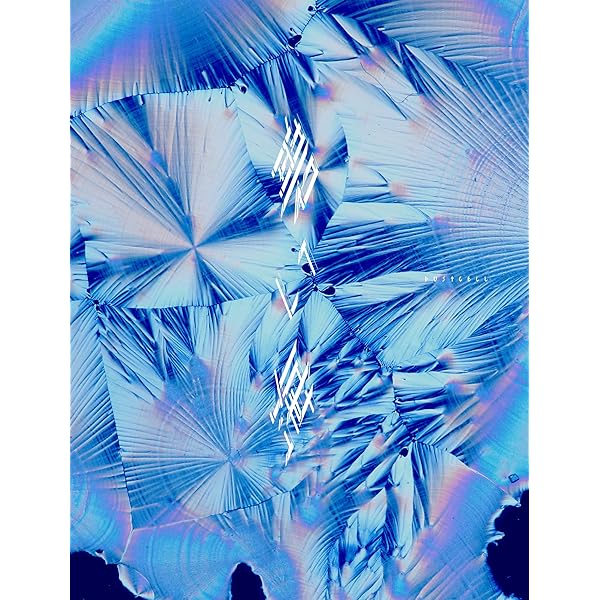 dustcell アルバムセット　初回限定版あり DUSTCELL】「光」（初回盤）／3rd Album「光」 – FINDME STORE