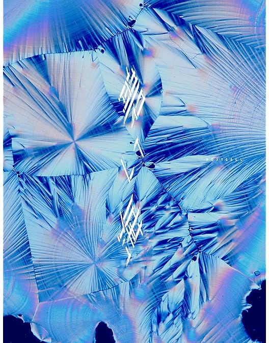 DUSTCELL LIVE ONE フォトブック付き DUSTCELL LIVE ONE フォトブック付き ONE at 日本武道館 ［2Blu-ray