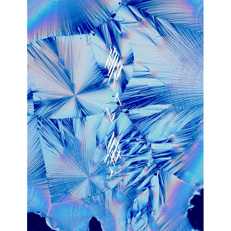 Amazon.co.jp: DUSTCELL : 【Amazon.co.jp限定】光(ALBUM)(初回生産