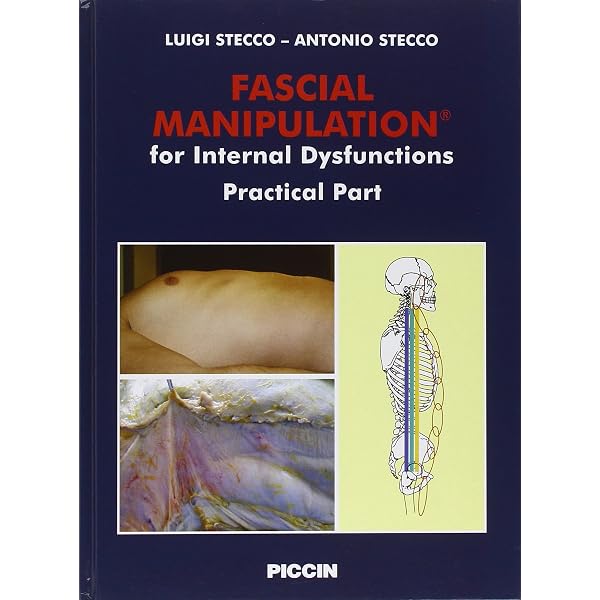 Fascial manipulation. Superficial fascia and systems. Practical